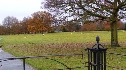 Front park with sheep at Coughton Court, Warwickshire